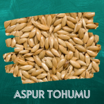 ASPUR TOHUMU - KANARYA YEMİ - 500 GRAM