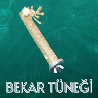 BEKAR TÜNEĞİ