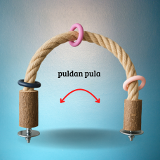 BÜKÜLEN TÜNEK