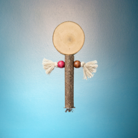 İPLİ DİNLENME TÜNEĞİ